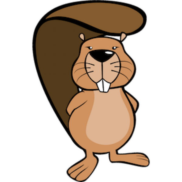 Informatik-Biber 2017