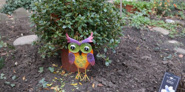 Komm in die Schulgarten-AG