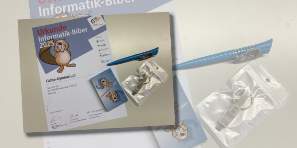 Erfolgreiche Teilnahme am Informatik-Biber 2025