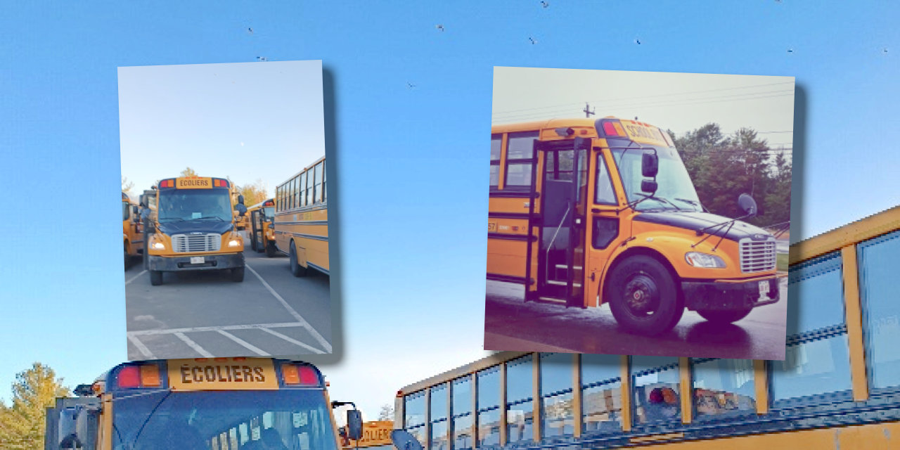 Mein Jahr im französischsprachigen Kanada