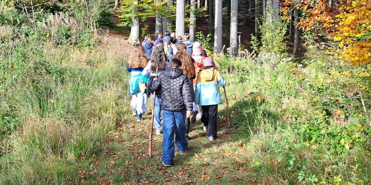 Die Abenteuer der 6b im schwarzen Märchenwald